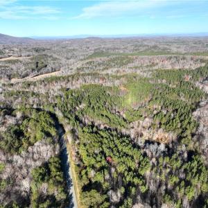 Photo #16 of Lot 4- 0 Bowen, Pinnacle, NC 38.9 acres