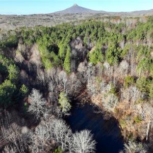 Photo #12 of Lot 4- 0 Bowen, Pinnacle, NC 38.9 acres