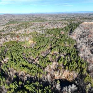 Photo #7 of Lot 4- 0 Bowen, Pinnacle, NC 38.9 acres