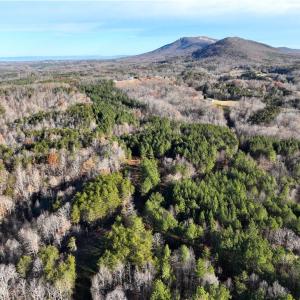 Photo #3 of Lot 4- 0 Bowen, Pinnacle, NC 38.9 acres