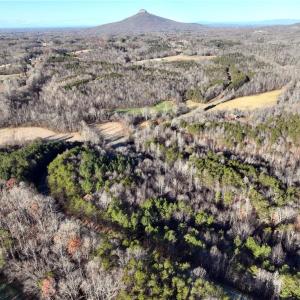Photo #1 of Lot 4- 0 Bowen, Pinnacle, NC 38.9 acres