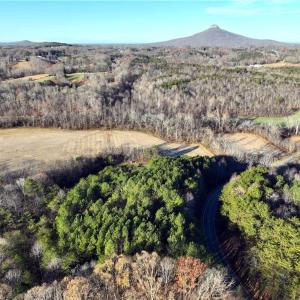 Photo #5 of Lot 4- 0 Bowen, Pinnacle, NC 38.9 acres