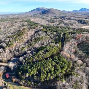 Photo #9 of Lot 4- 0 Bowen, Pinnacle, NC 38.9 acres