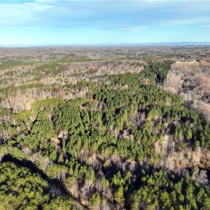 Photo #10 of Lot 4- 0 Bowen, Pinnacle, NC 38.9 acres