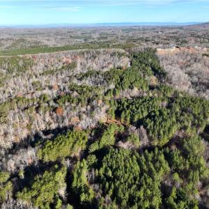 Photo #18 of Lot 4- 0 Bowen, Pinnacle, NC 38.9 acres