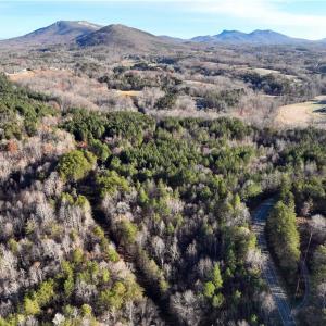 Photo #11 of Lot 4- 0 Bowen, Pinnacle, NC 38.9 acres