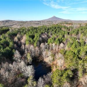 Photo #4 of Lot 4- 0 Bowen, Pinnacle, NC 38.9 acres