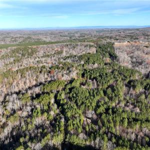 Photo #8 of Lot 4- 0 Bowen, Pinnacle, NC 38.9 acres