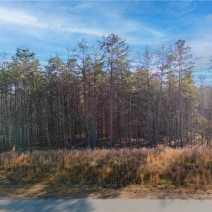 Lot 25