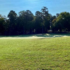 Golf Course View