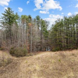 Photo #3 of 9 Warren, Kernersville, NC 11.3 acres