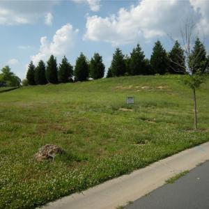Lot 40 - Photo 1