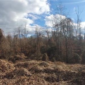 Photo #9 of US Highway 601, Mocksville, NC 14.7 acres