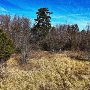 Photo #8 of 144 Brown, Lexington, NC 0.9 acres