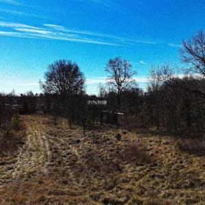 Photo #7 of 144 Brown, Lexington, NC 0.9 acres