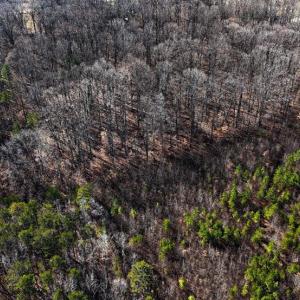 Photo #9 of 144 Brown, Lexington, NC 0.9 acres