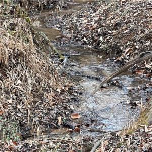 Photo #5 of River Ridge, Pfafftown, NC 24.3 acres