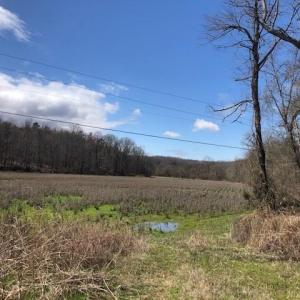 Photo #5 of River Ridge, Pfafftown, NC 20.4 acres
