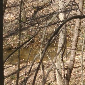 Photo #6 of 1969 Mulberry Academy, Franklinville, NC 15.7 acres