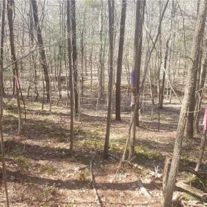 Photo #13 of 1969 Mulberry Academy, Franklinville, NC 15.7 acres