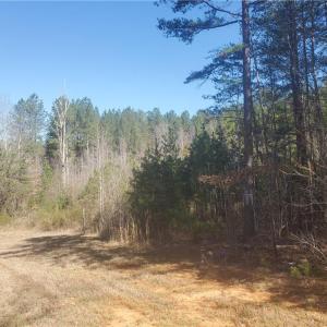 Photo #1 of 1969 Mulberry Academy, Franklinville, NC 15.7 acres