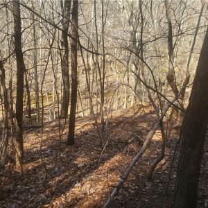 Photo #5 of 1969 Mulberry Academy, Franklinville, NC 15.7 acres