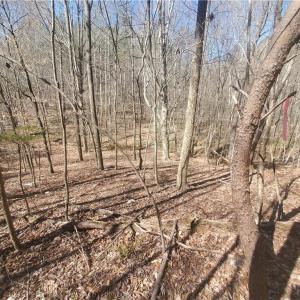 Photo #10 of 1969 Mulberry Academy, Franklinville, NC 15.7 acres