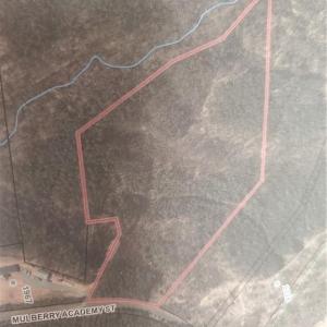 Photo #14 of 1969 Mulberry Academy, Franklinville, NC 15.7 acres