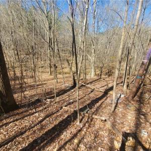 Photo #11 of 1969 Mulberry Academy, Franklinville, NC 15.7 acres