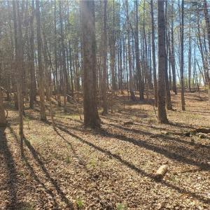 Photo #4 of 1969 Mulberry Academy, Franklinville, NC 15.7 acres