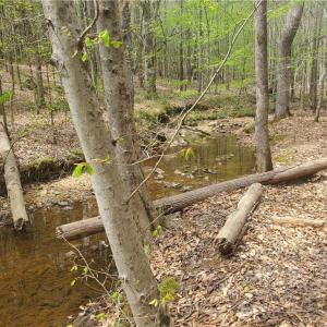 Photo #2 of 1969 Mulberry Academy, Franklinville, NC 15.7 acres