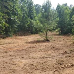 Photo #26 of 1969 Mulberry Academy, Franklinville, NC 15.7 acres