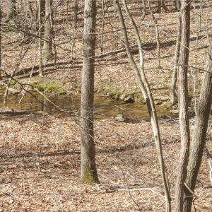 Photo #8 of 1969 Mulberry Academy, Franklinville, NC 15.7 acres