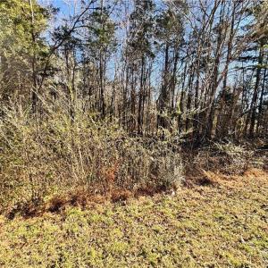 Photo #5 of New Cut, Lexington, NC 13.8 acres