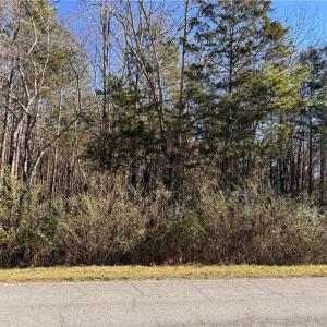 Photo #3 of New Cut, Lexington, NC 13.8 acres