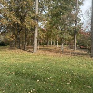View of Lot