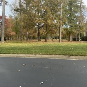 Front View of Lot