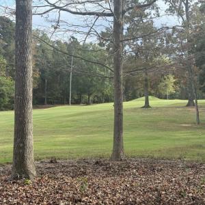 Golf Course View