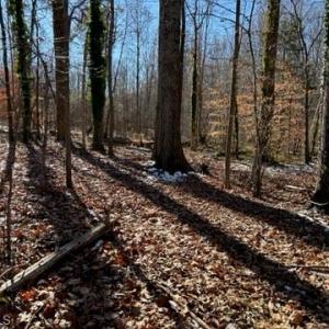 Photo #2 of 7209 Prentiss, Greensboro, NC 0.6 acres