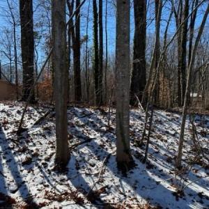 Photo #3 of 7209 Prentiss, Greensboro, NC 0.6 acres