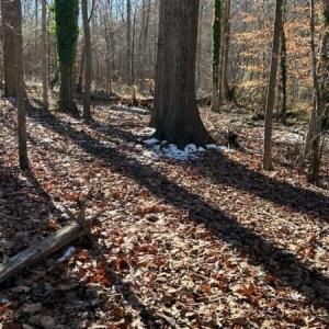 Photo #1 of 7209 Prentiss, Greensboro, NC 0.6 acres
