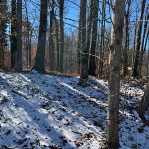 Photo #4 of 7209 Prentiss, Greensboro, NC 0.6 acres