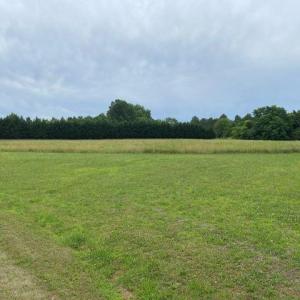 Photo #5 of 4524 Millstone, Burlington, NC 6.1 acres