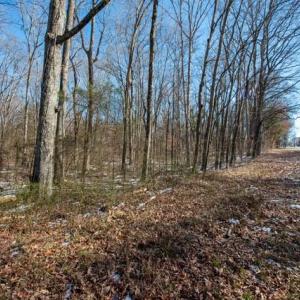 Photo #23 of 230, 240 Dilworth, High Point, NC 13.0 acres