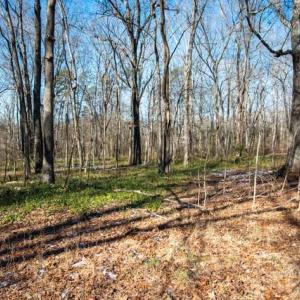 Photo #12 of 230, 240 Dilworth, High Point, NC 13.0 acres