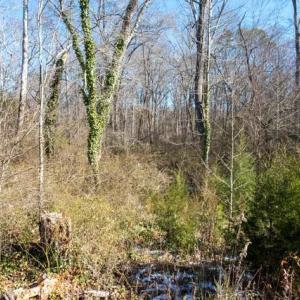 Photo #26 of 230, 240 Dilworth, High Point, NC 13.0 acres