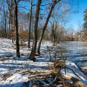 Photo #7 of 230, 240 Dilworth, High Point, NC 13.0 acres