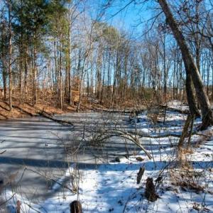 Photo #5 of 230, 240 Dilworth, High Point, NC 13.0 acres