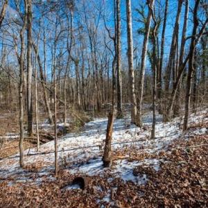 Photo #24 of 230, 240 Dilworth, High Point, NC 13.0 acres