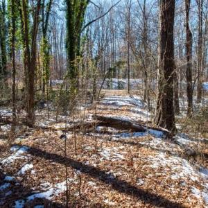 Photo #10 of 230, 240 Dilworth, High Point, NC 13.0 acres